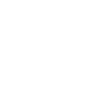 профи своего дела